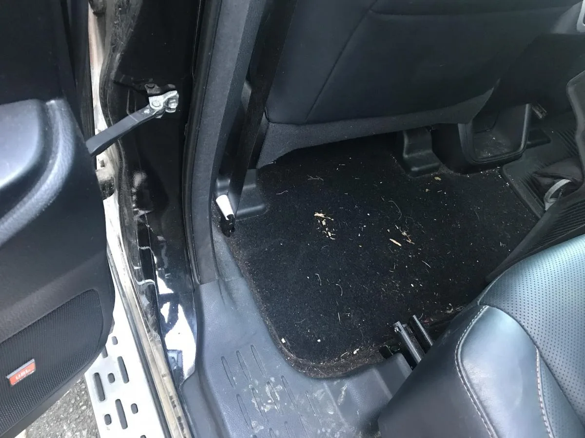 Vehicle interior before detailing